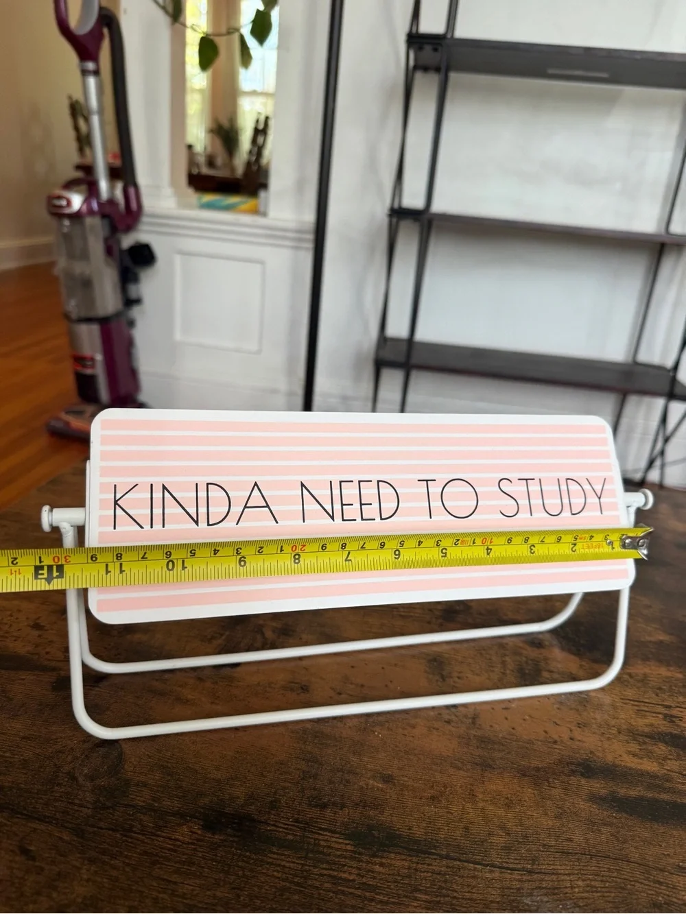 Kinda Need to Study - Want to Take a Nap Pink Desk Sign - Home Office Accent